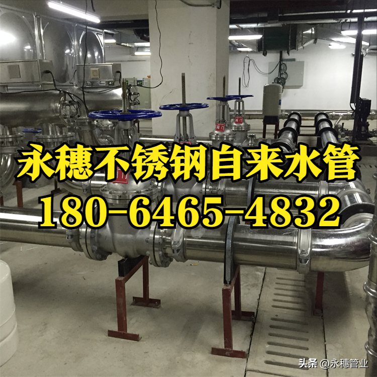 午夜在线观看网站品牌午夜福利视频免费观看水管.png